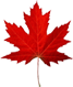 canada-small-maple-leaf