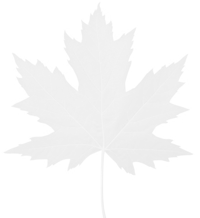 popup-form-background maple leaf image